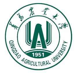 未标题-6.png